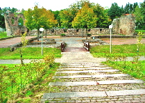 Burgguine K�llerbach 202