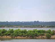 Vogelpark skl